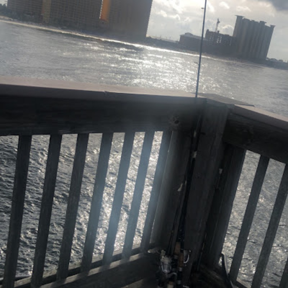 Meet your Posher, Dayton